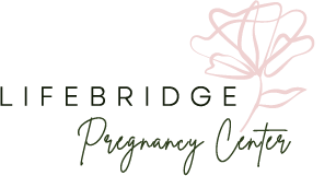 LifeBridge